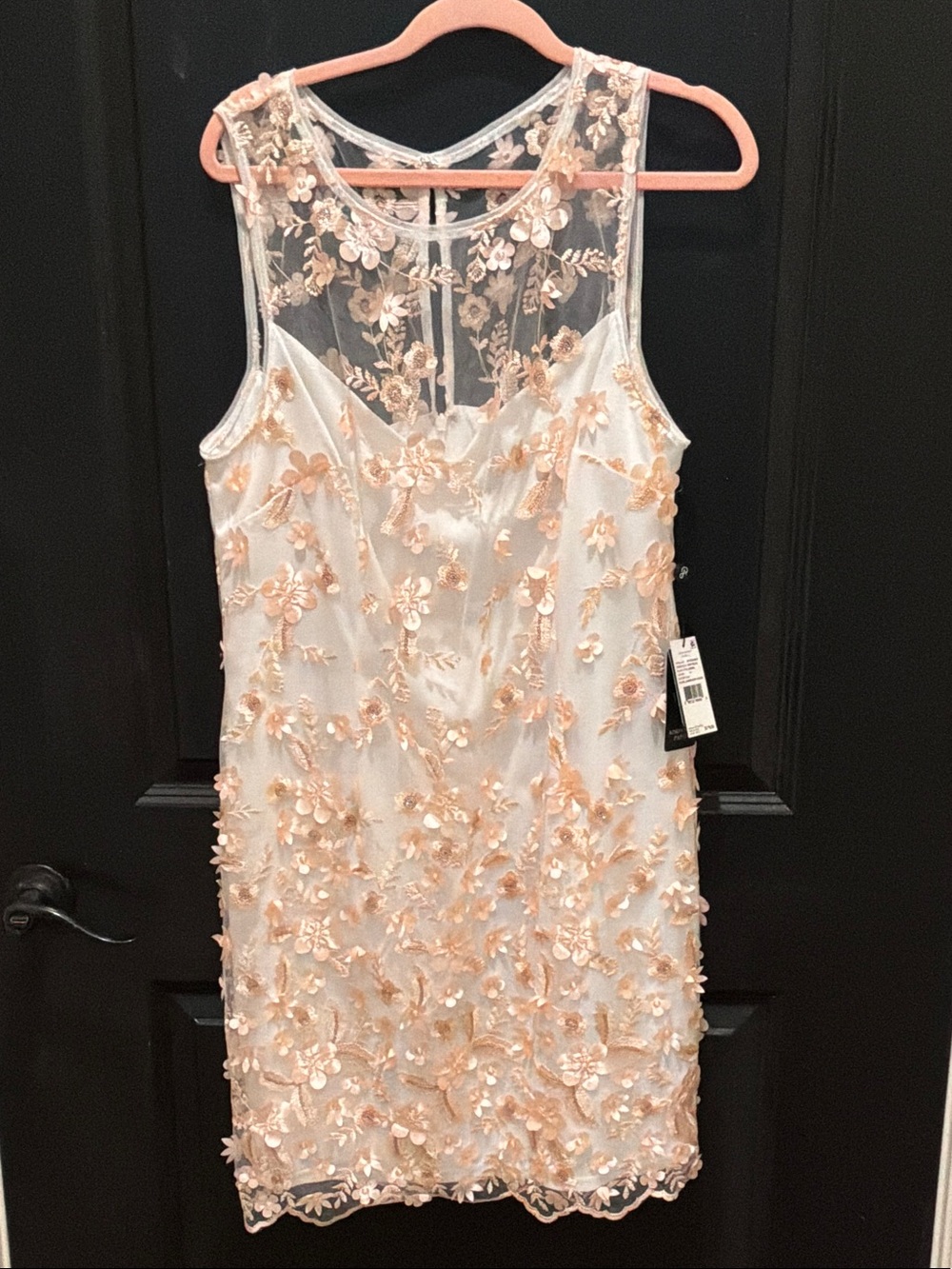 Adrianna Papell Ivory Mini Dress with Blush Floral Appliqué